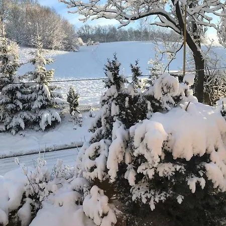 U Haneczki Barcinek