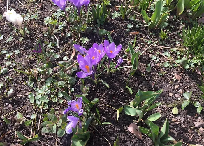 U Haneczki Bauernhof Barcinek